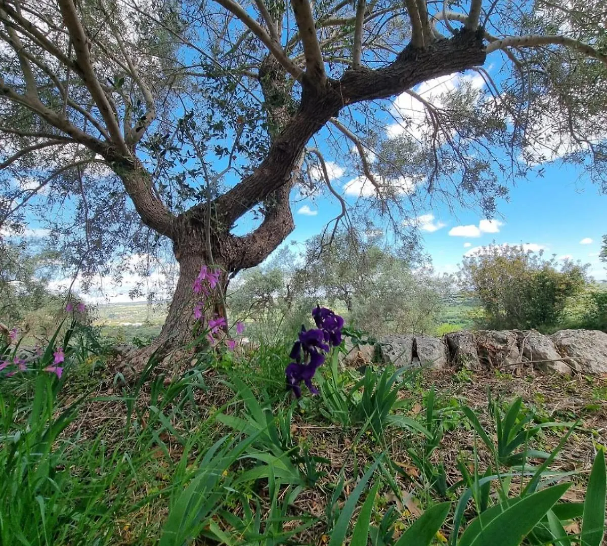 Le Terrazze Di Pietra Viva - Monolocale Villa Canicattini Bagni