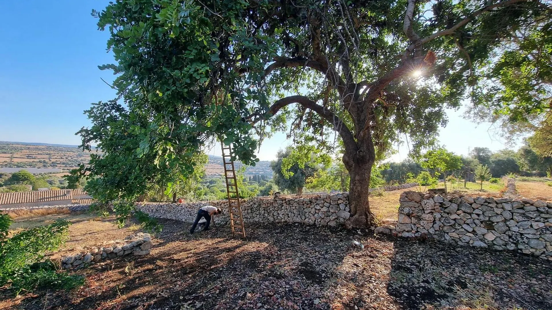 Le Terrazze Di Pietra Viva - Monolocale Villa Canicattini Bagni 0*,  Italy